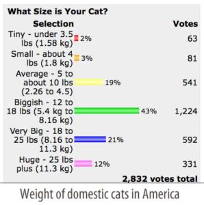 cat weights chart