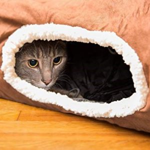 kitty cat tunnel toy